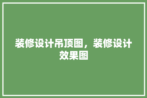 装修设计吊顶图，装修设计效果图
