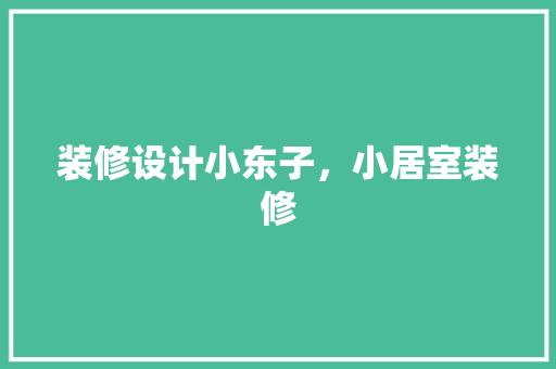 装修设计小东子，小居室装修