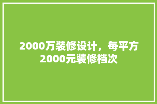 2000万装修设计，每平方2000元装修档次