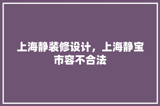 上海静装修设计，上海静宝市容不合法