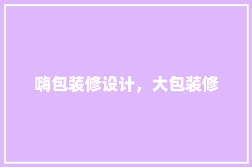 嗨包装修设计，大包装修
