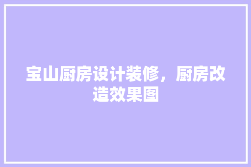 宝山厨房设计装修，厨房改造效果图 施工技术