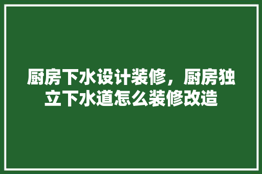 厨房下水设计装修，厨房独立下水道怎么装修改造