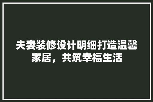 夫妻装修设计明细打造温馨家居，共筑幸福生活