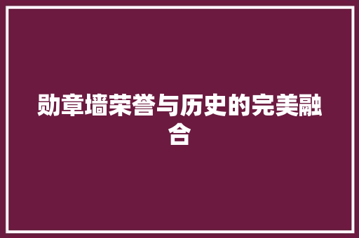 勋章墙荣誉与历史的完美融合