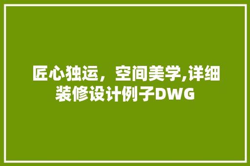 匠心独运，空间美学,详细装修设计例子DWG