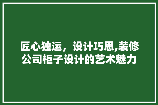 匠心独运，设计巧思,装修公司柜子设计的艺术魅力