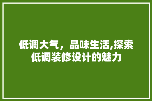 低调大气，品味生活,探索低调装修设计的魅力