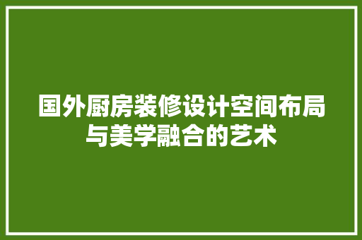国外厨房装修设计空间布局与美学融合的艺术