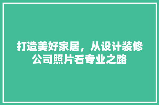 打造美好家居，从设计装修公司照片看专业之路