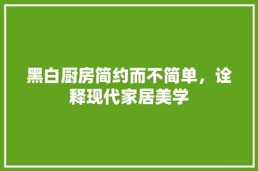 黑白厨房简约而不简单，诠释现代家居美学
