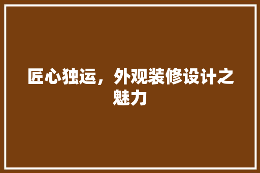 匠心独运，外观装修设计之魅力