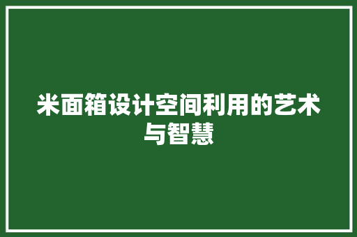 米面箱设计空间利用的艺术与智慧