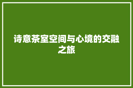 诗意茶室空间与心境的交融之旅