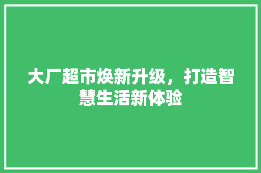 大厂超市焕新升级，打造智慧生活新体验