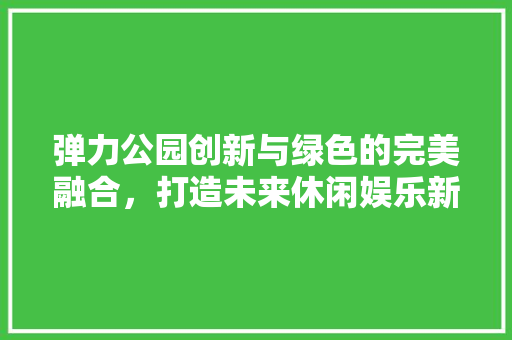 弹力公园创新与绿色的完美融合，打造未来休闲娱乐新地标 施工技术