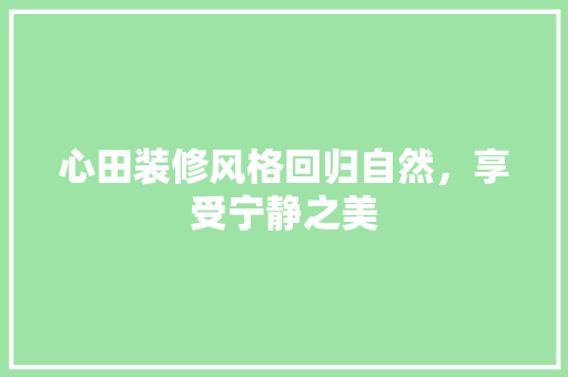 心田装修风格回归自然，享受宁静之美 工艺流程