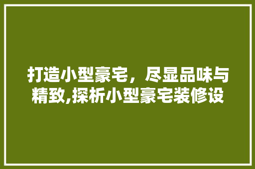 打造小型豪宅，尽显品味与精致,探析小型豪宅装修设计之路