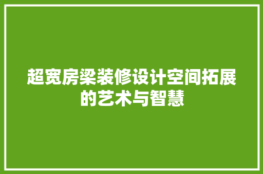 超宽房梁装修设计空间拓展的艺术与智慧