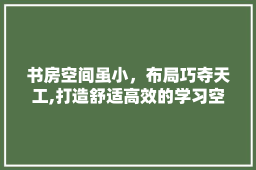 书房空间虽小，布局巧夺天工,打造舒适高效的学习空间