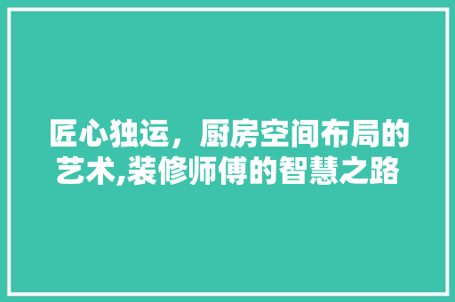 匠心独运，厨房空间布局的艺术,装修师傅的智慧之路