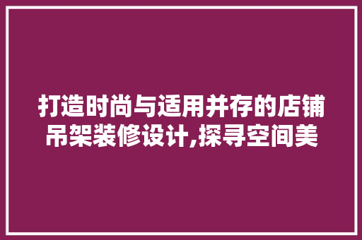打造时尚与适用并存的店铺吊架装修设计,探寻空间美学新境界