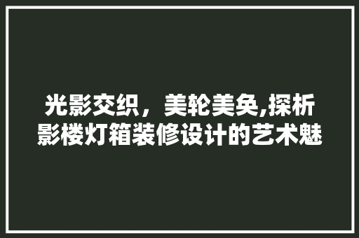 光影交织，美轮美奂,探析影楼灯箱装修设计的艺术魅力