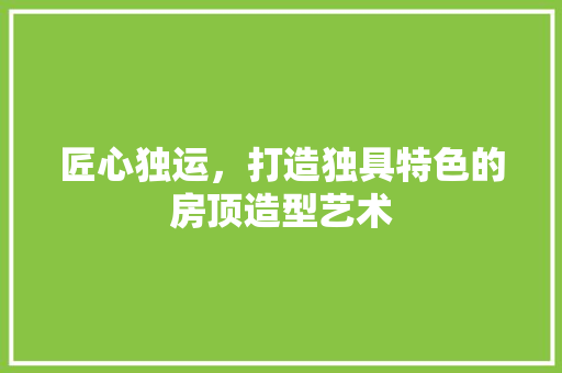 匠心独运，打造独具特色的房顶造型艺术