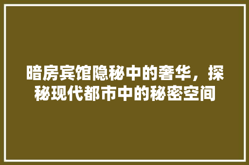 暗房宾馆隐秘中的奢华，探秘现代都市中的秘密空间