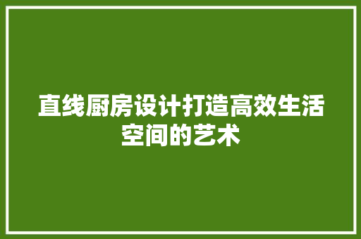 直线厨房设计打造高效生活空间的艺术 施工工艺