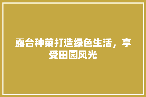 露台种菜打造绿色生活，享受田园风光