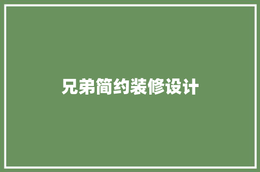 兄弟简约装修设计