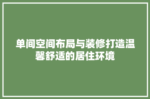 单间空间布局与装修打造温馨舒适的居住环境