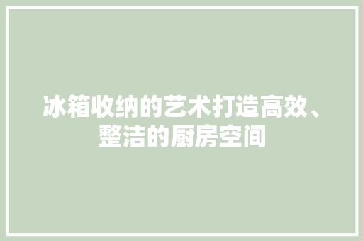 冰箱收纳的艺术打造高效、整洁的厨房空间