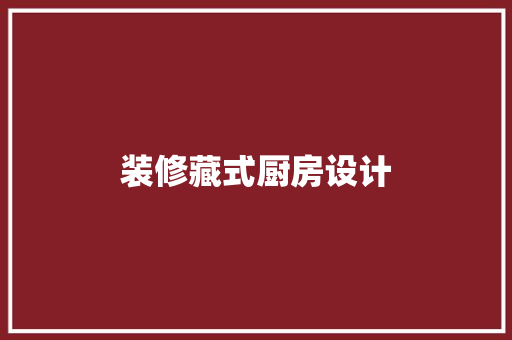 装修藏式厨房设计
