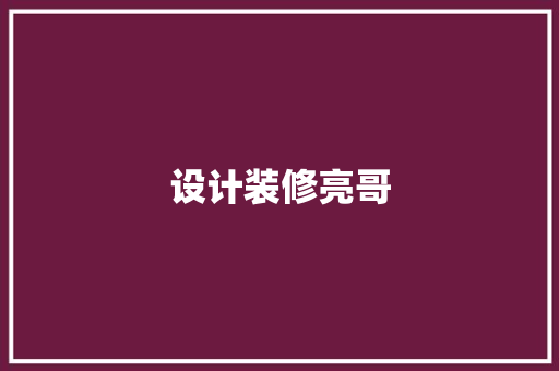设计装修亮哥