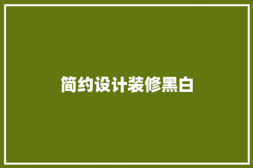 简约设计装修黑白