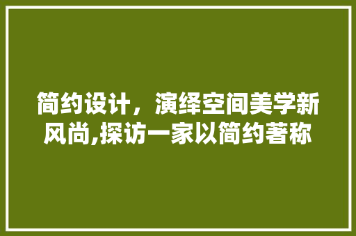 简约设计，演绎空间美学新风尚,探访一家以简约著称的装修公司