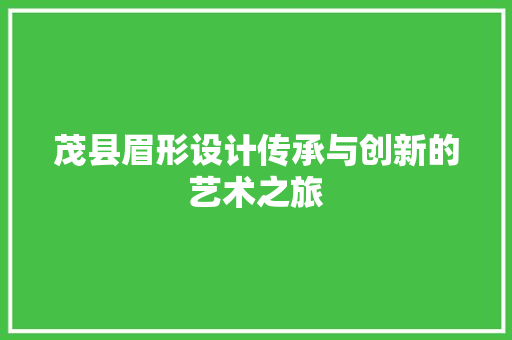 茂县眉形设计传承与创新的艺术之旅